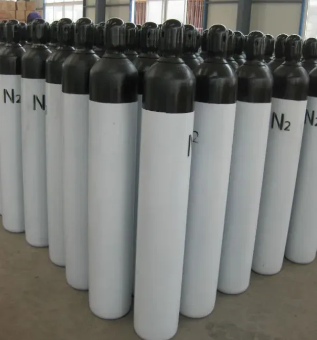 Nitrogen gas cylinder for purging and blanketing, Sunrise Gases Nagpur